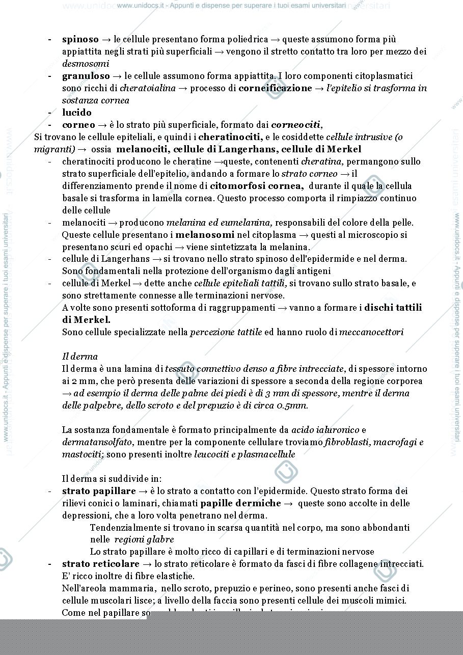 Anteprima pagina 2 — sistema tegumentario