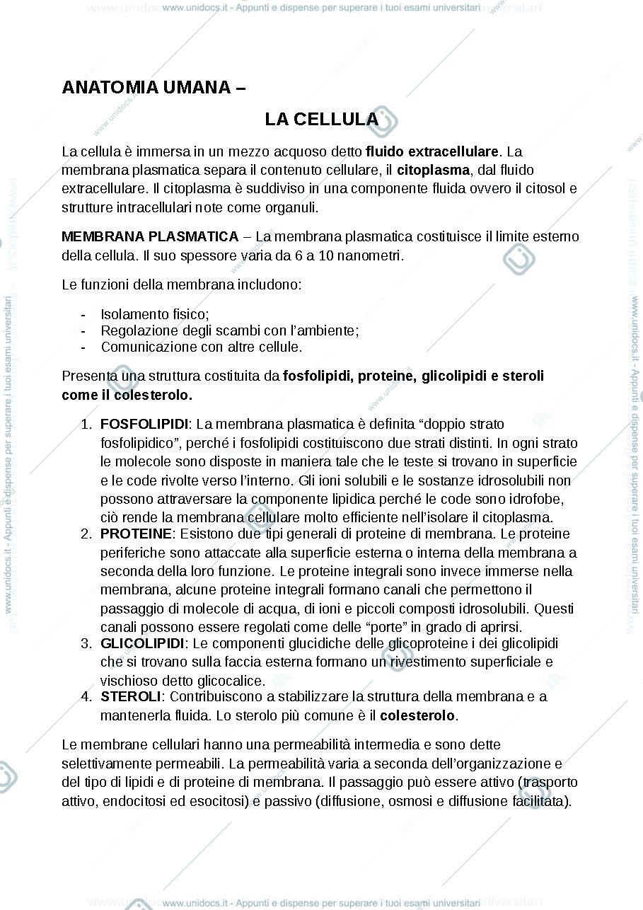 Anteprima pagina 1 — anatomia umana