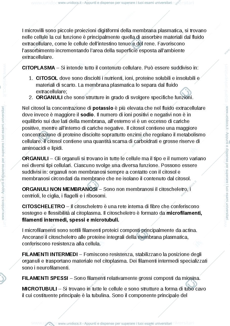 Anteprima pagina 2 — anatomia umana