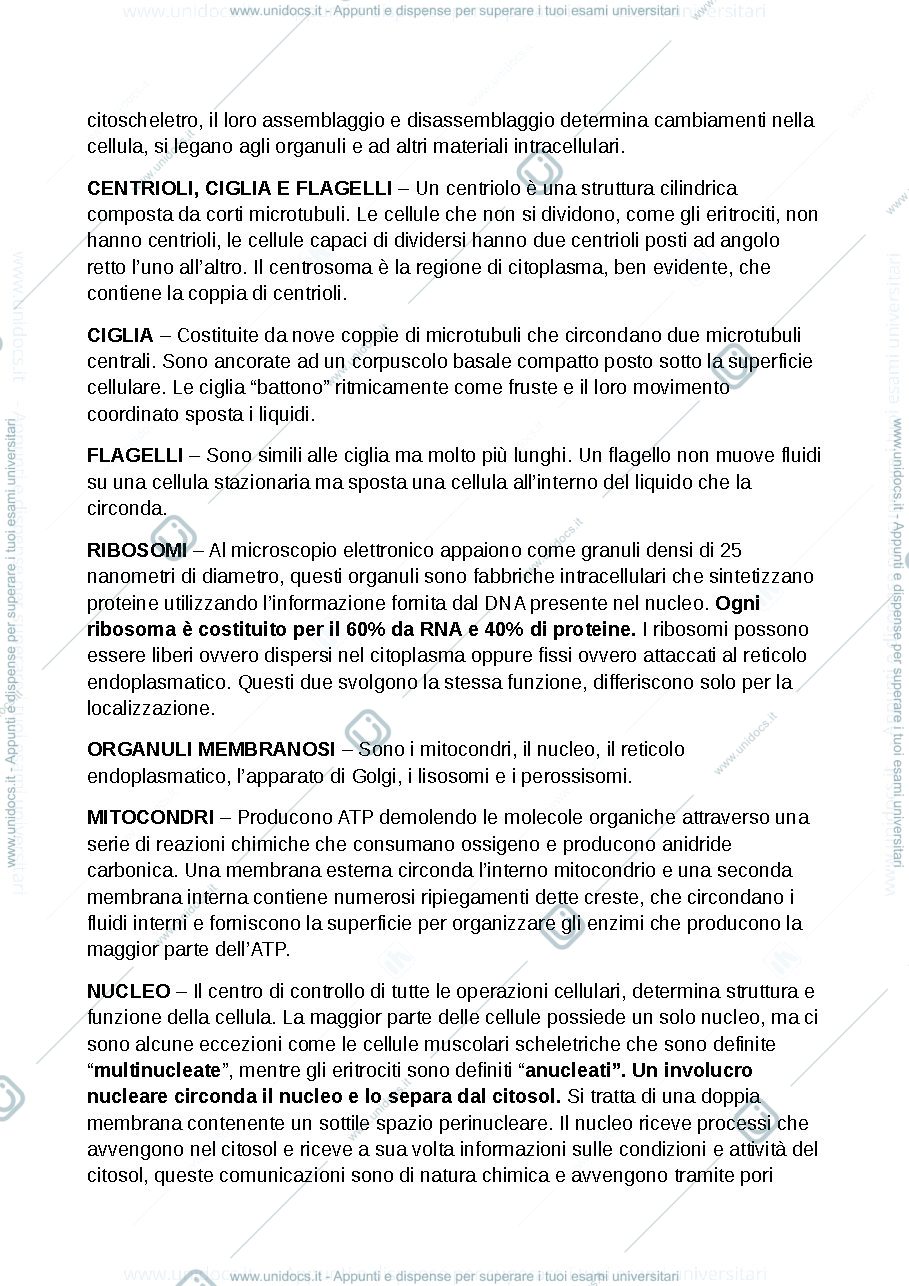 Anteprima pagina 3 — anatomia umana