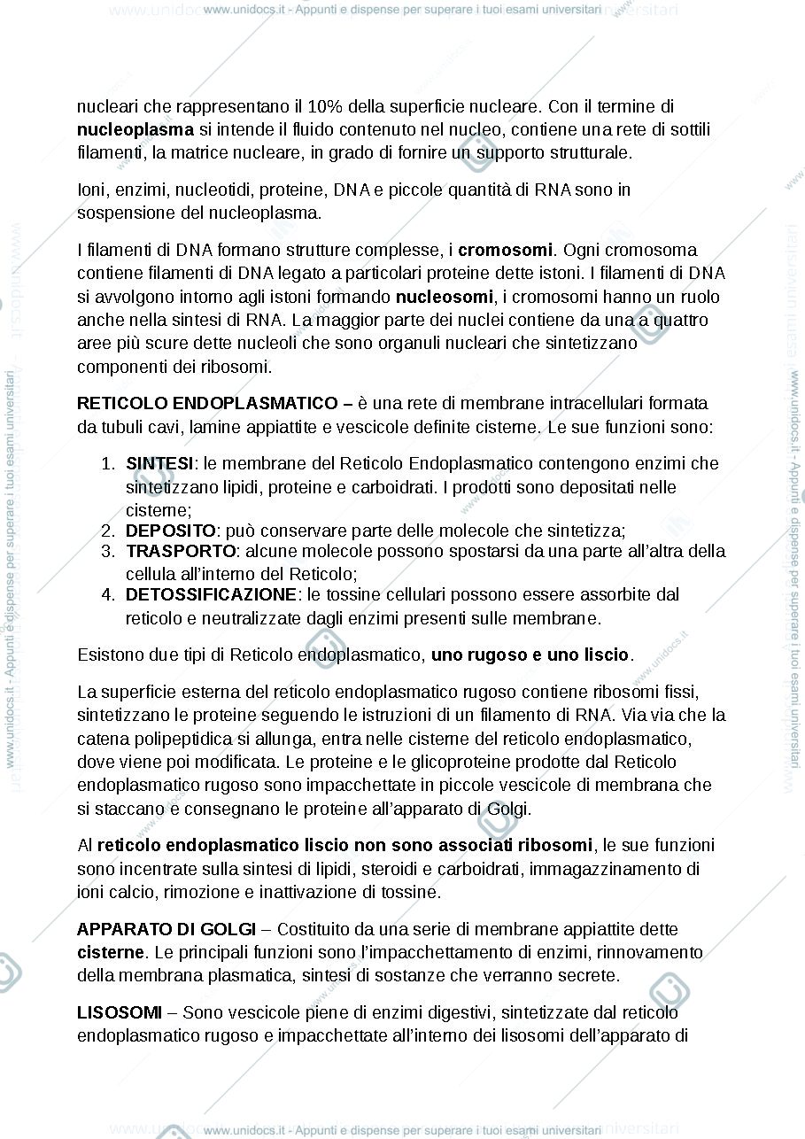 Anteprima pagina 4 — anatomia umana