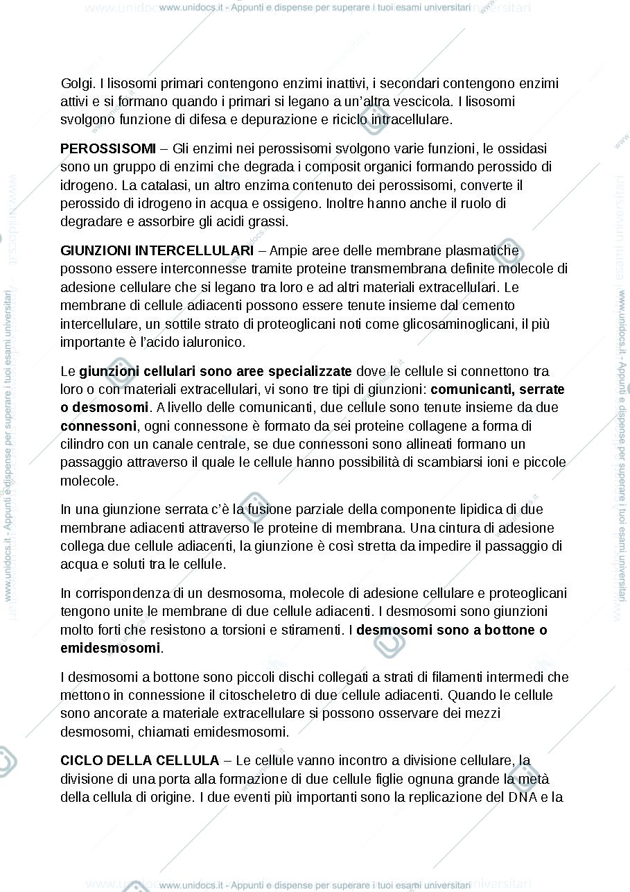 Anteprima pagina 5 — anatomia umana