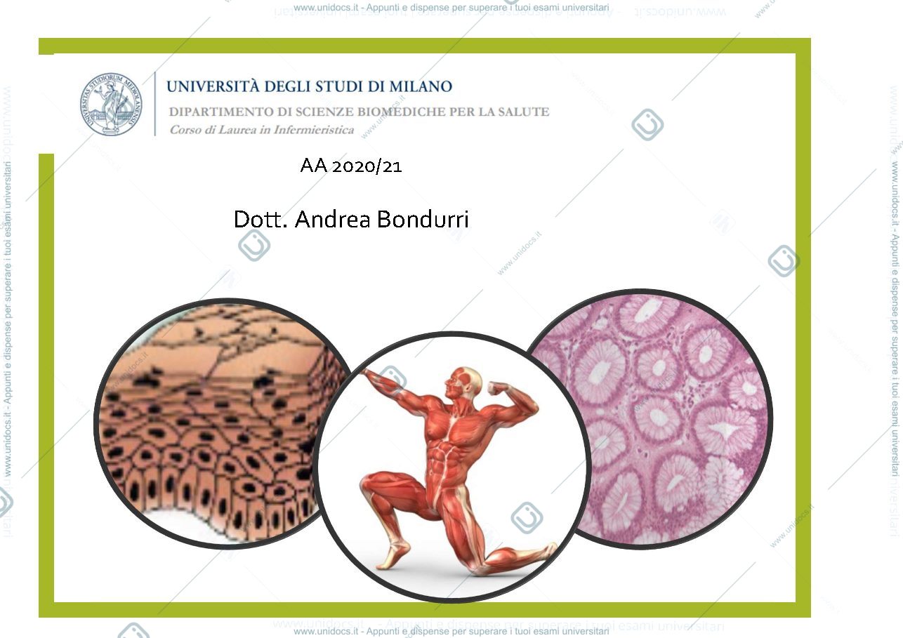 Anteprima pagina 1 — digerente