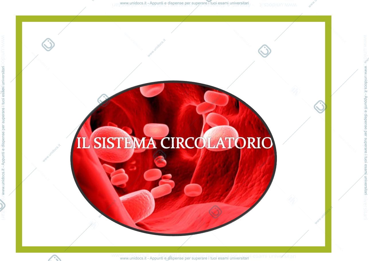 Anteprima pagina 2 — digerente