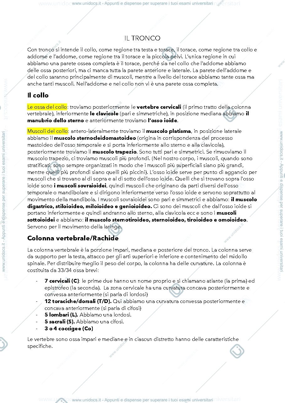 Anteprima pagina 1 — Il tronco e gli arti