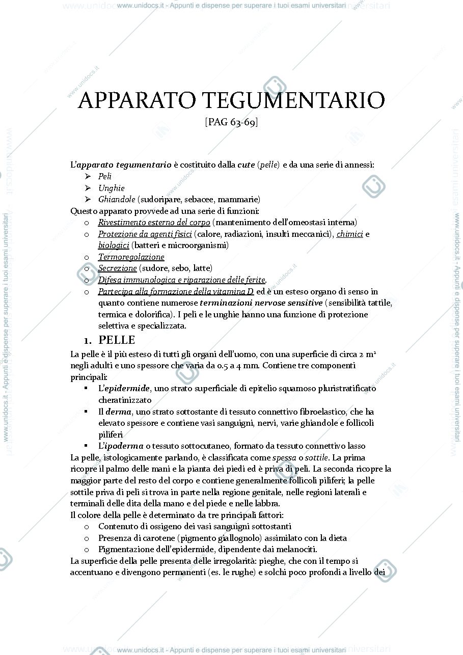 Anteprima pagina 1 — APPARATO TEGUMENTARIO