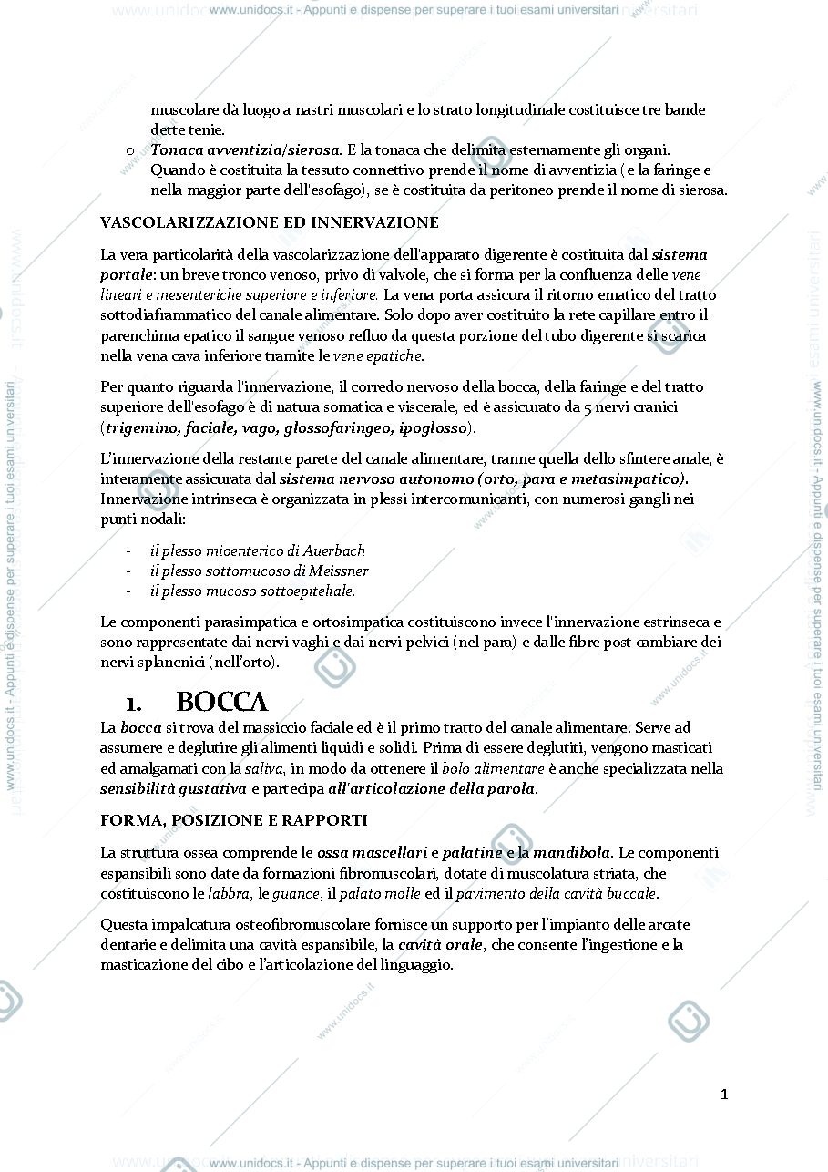 Anteprima pagina 2 — APPARATO DIGERENTE