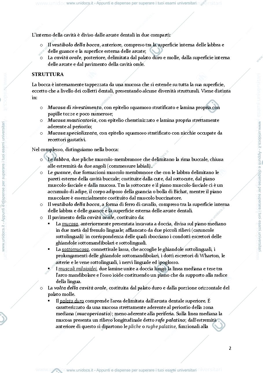 Anteprima pagina 3 — APPARATO DIGERENTE