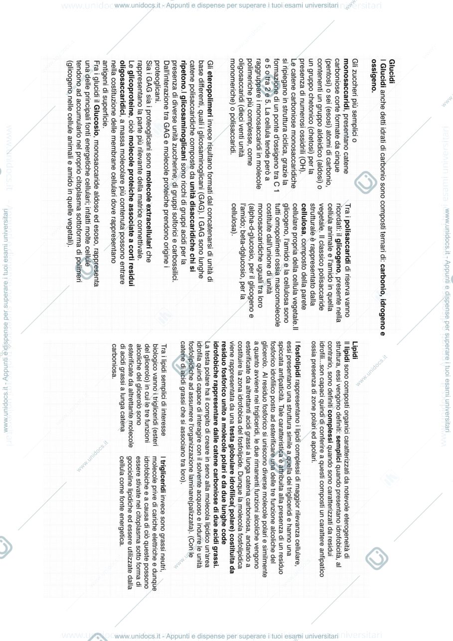 Anteprima pagina 2 — Citologia