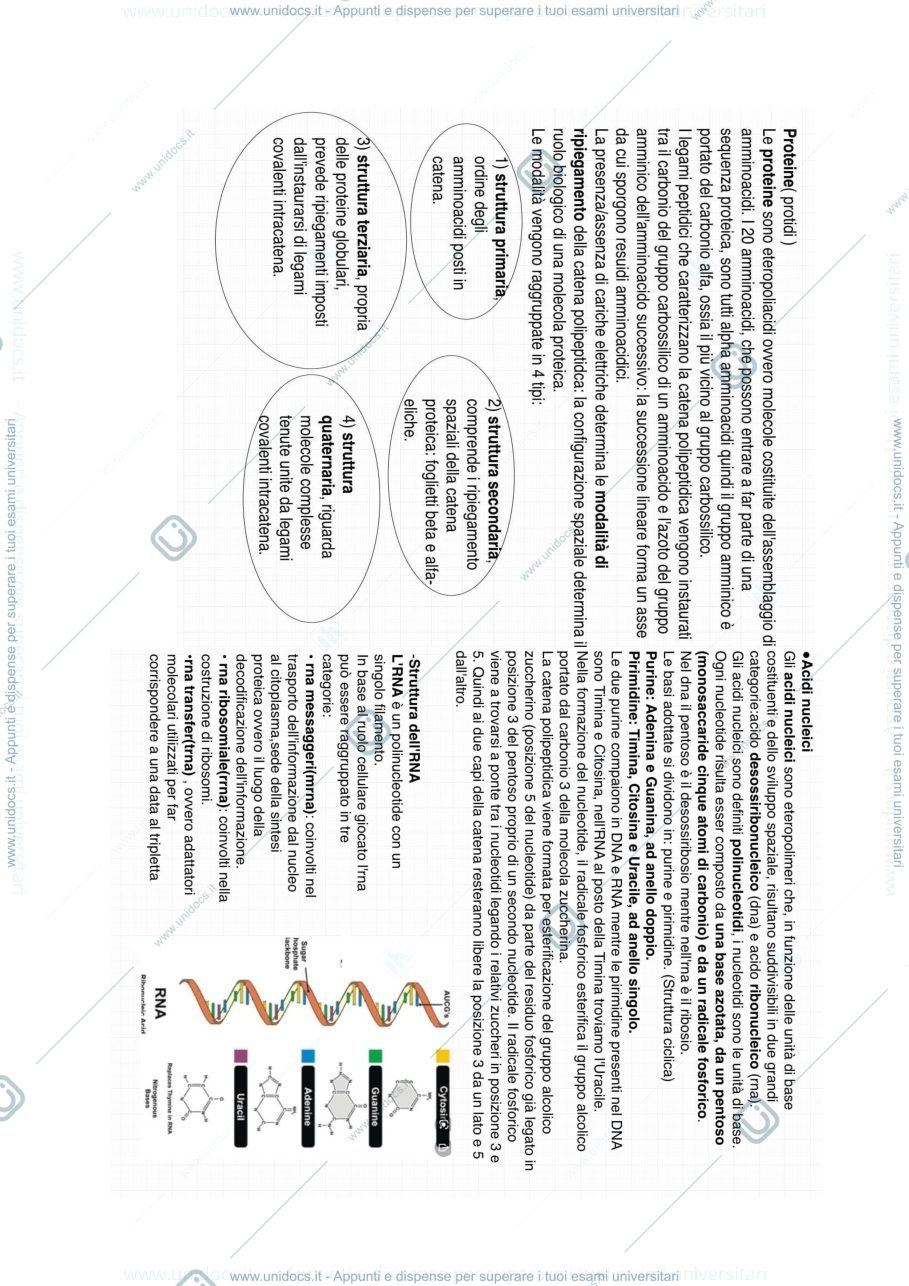 Anteprima pagina 3 — Citologia