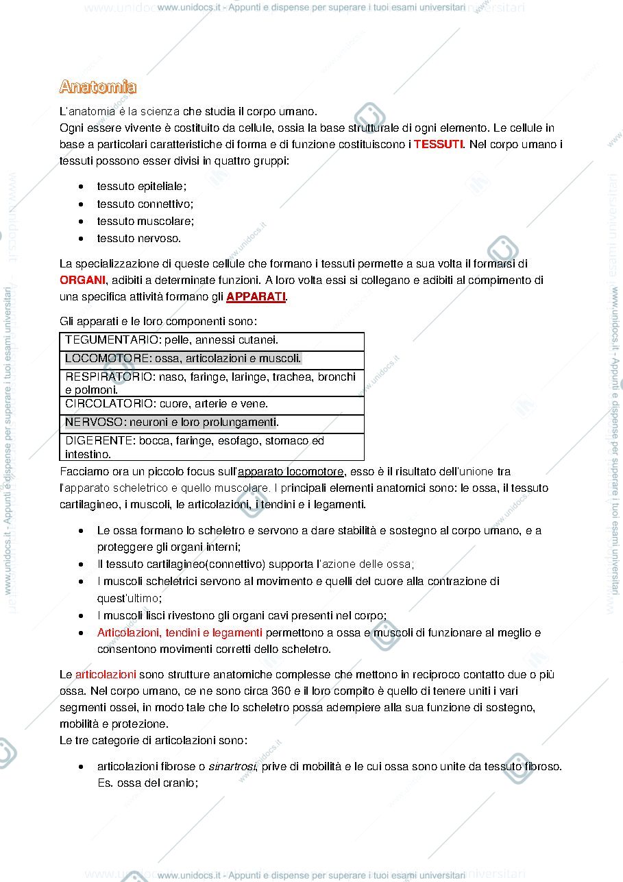 Anteprima pagina 1 — Anatomia