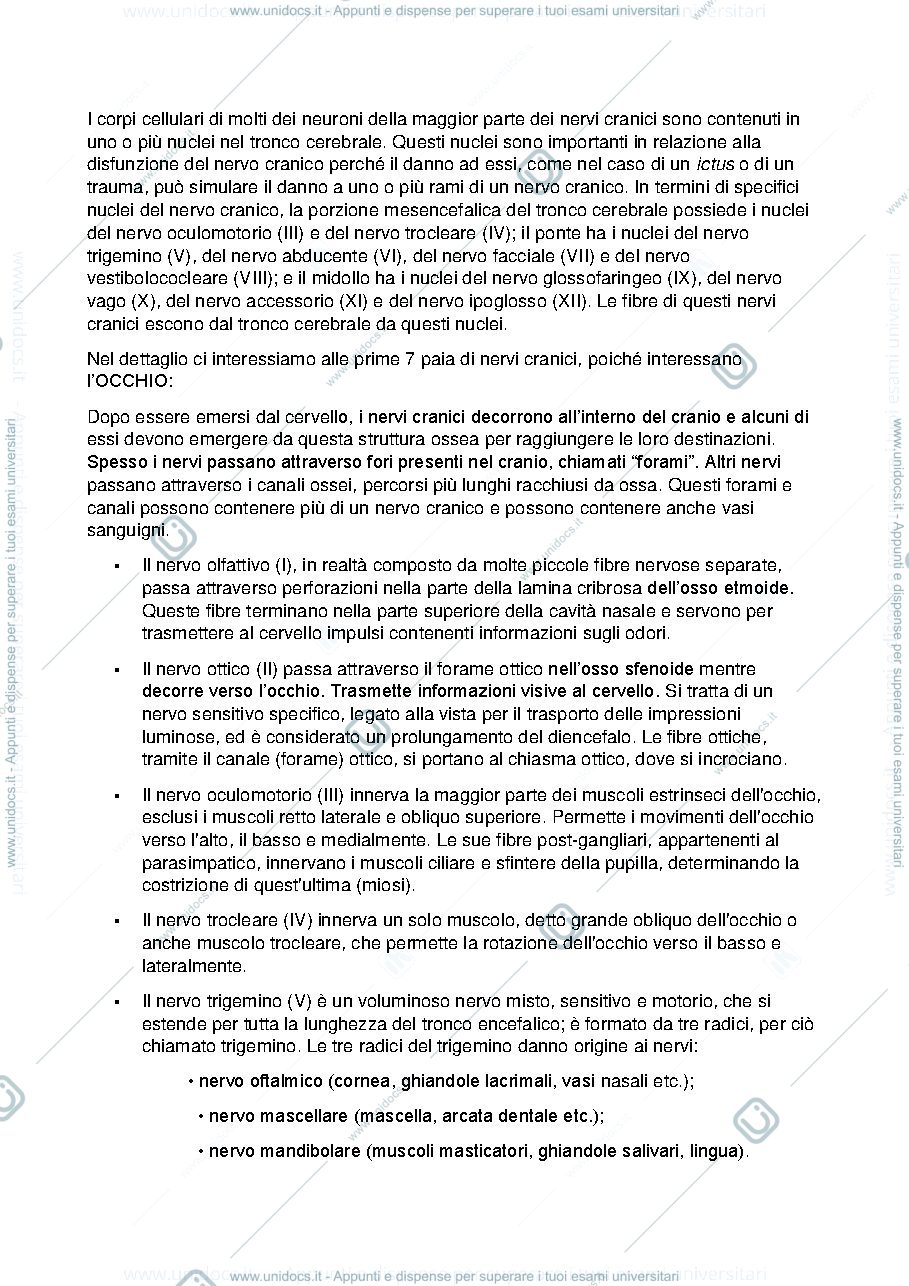 Anteprima pagina 2 — Nervi cranici occhio
