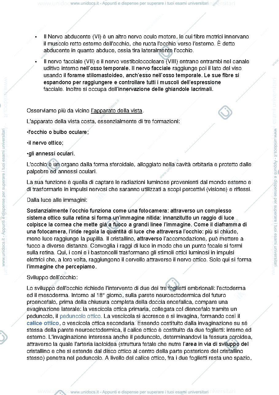 Anteprima pagina 3 — Nervi cranici occhio