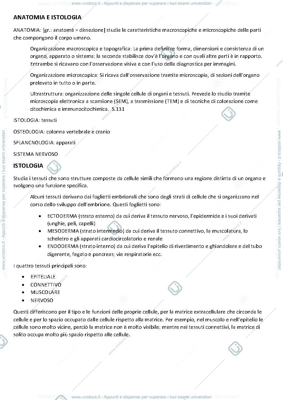 Anteprima pagina 1 — Istologia