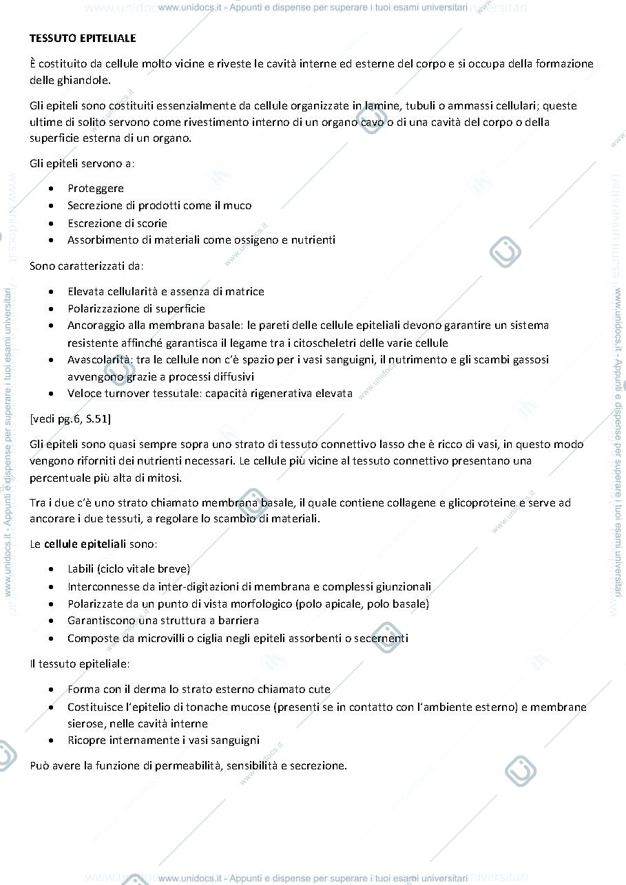 Anteprima pagina 2 — Istologia