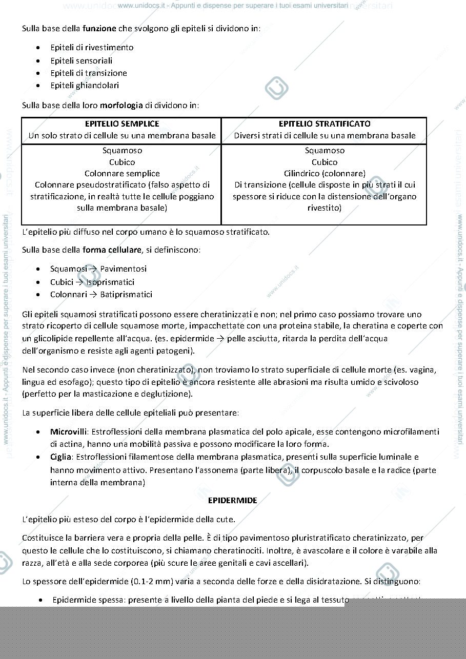 Anteprima pagina 3 — Istologia