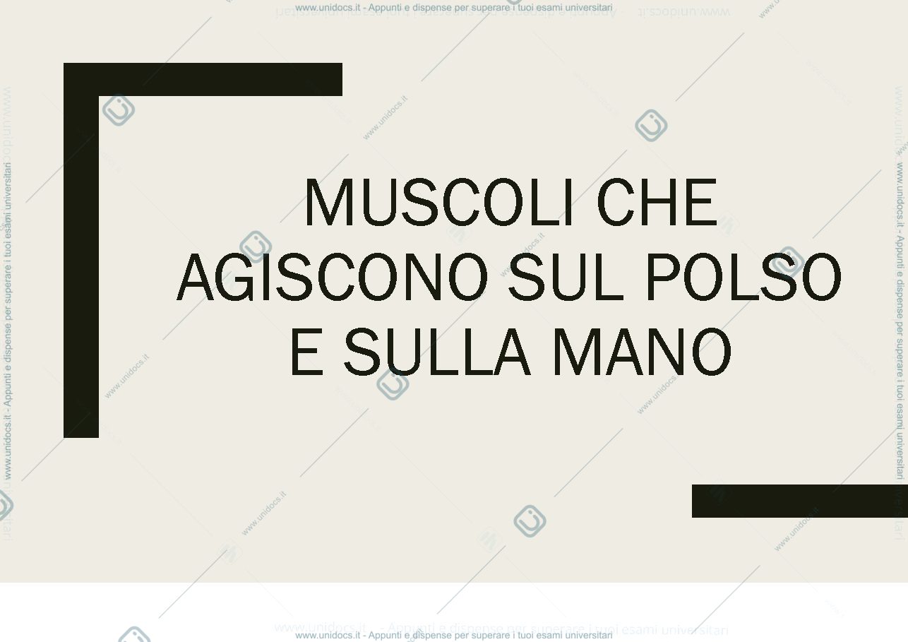 Anteprima pagina 1 — muscoli che agiscono su polso e mano