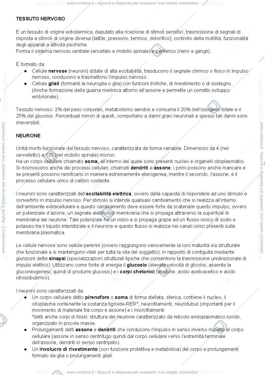 Anteprima pagina 1 — Tessuto nervoso 