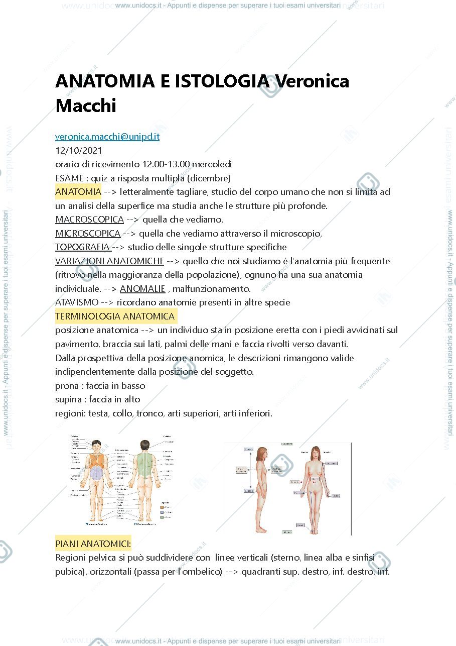 Anteprima pagina 1 — Anatomia 1