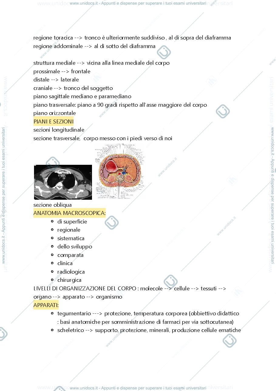 Anteprima pagina 3 — Anatomia 1