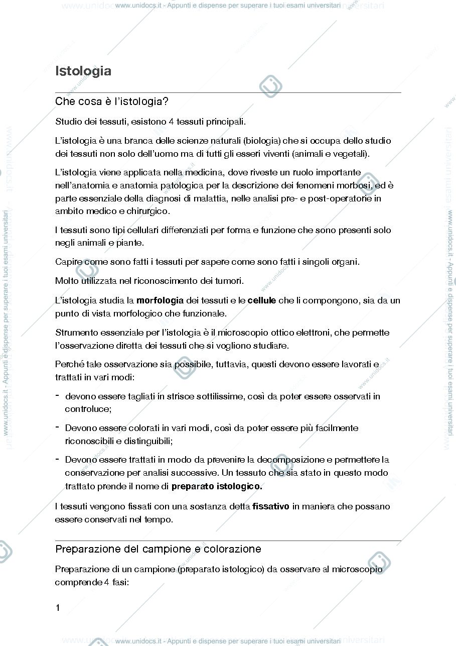 Anteprima pagina 1 — Anatomia