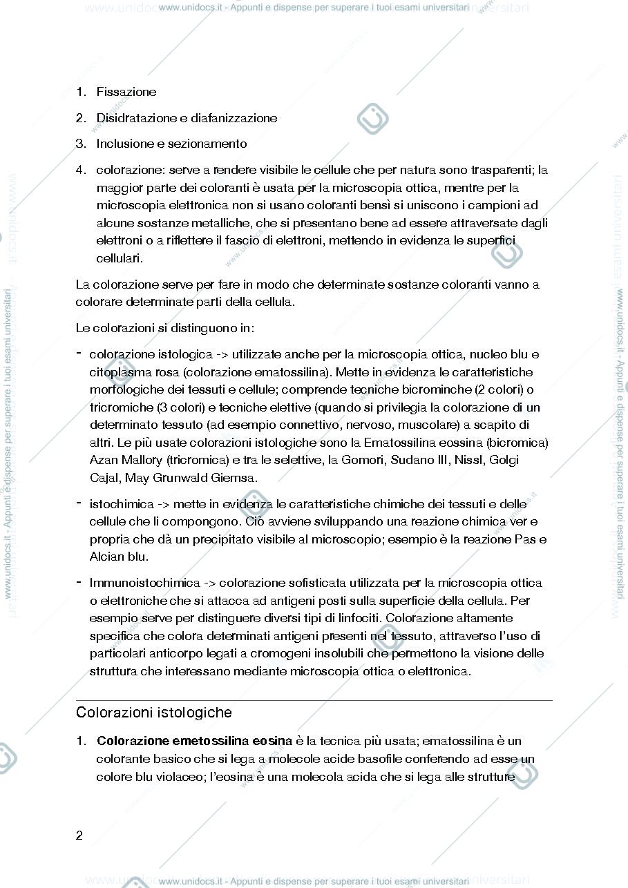 Anteprima pagina 2 — Anatomia