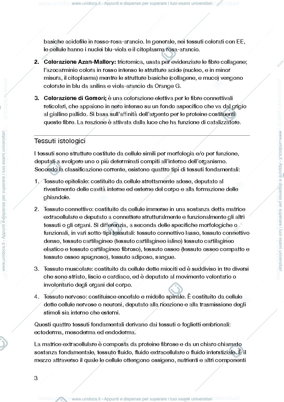 Anteprima pagina 3 — Anatomia