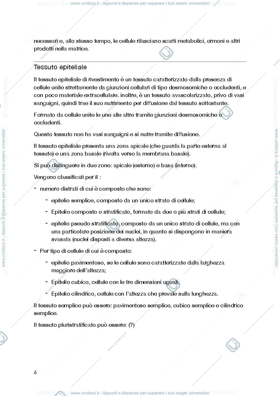 Anteprima pagina 4 — Anatomia