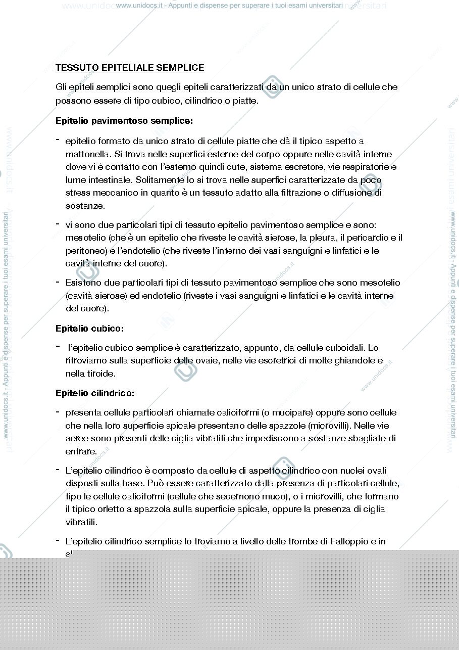 Anteprima pagina 5 — Anatomia
