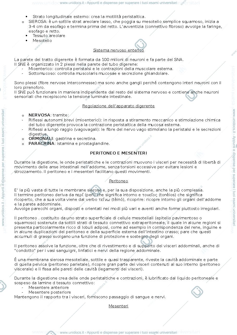 Anteprima pagina 2 — anatomia pt.2