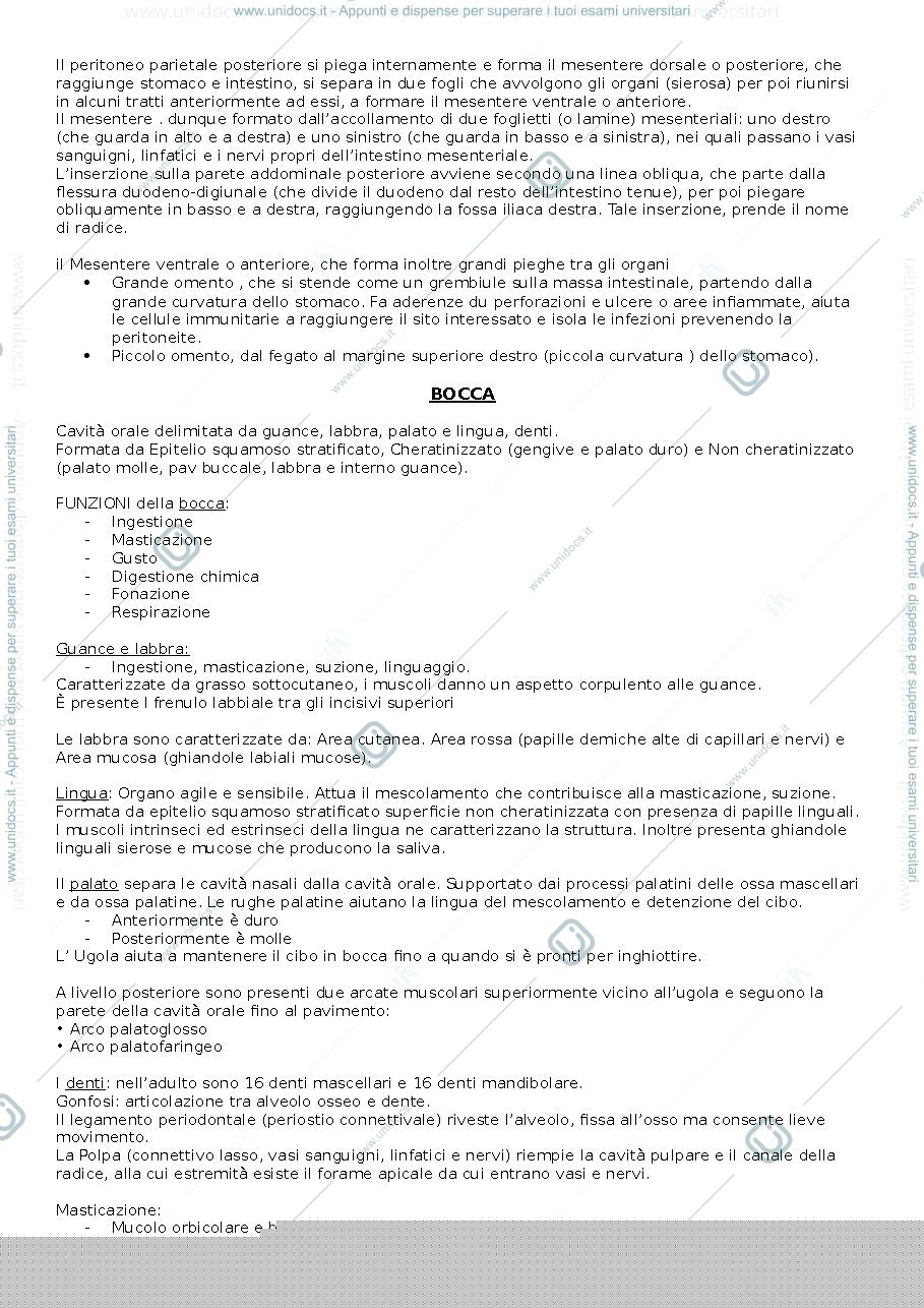 Anteprima pagina 3 — anatomia pt.2