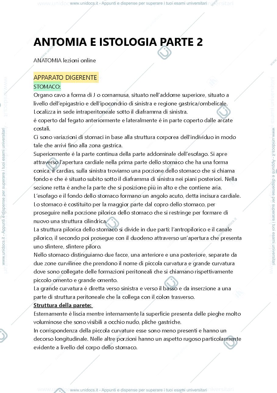 Anteprima pagina 1 — Anatomia 2