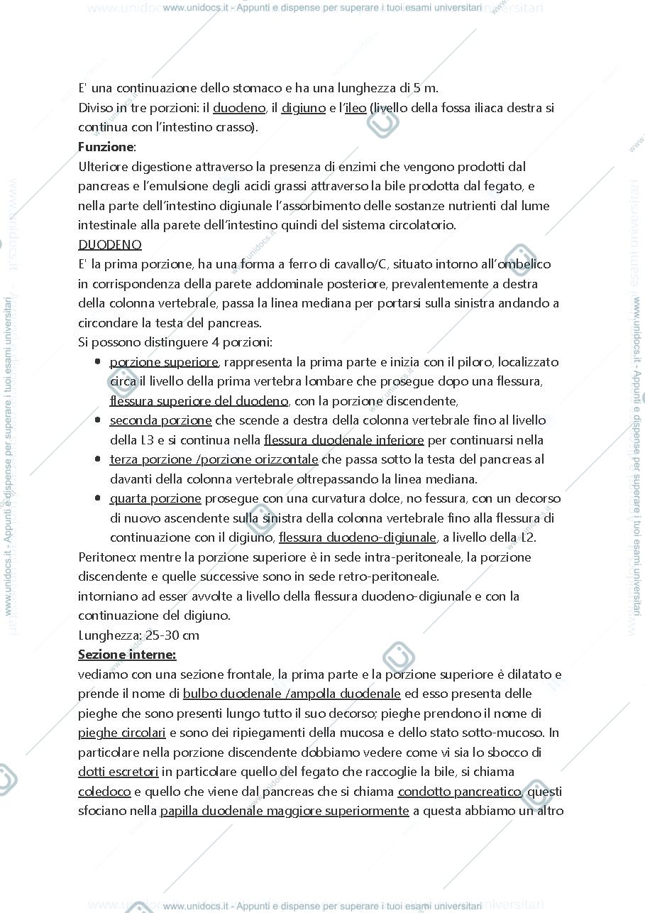 Anteprima pagina 3 — Anatomia 2