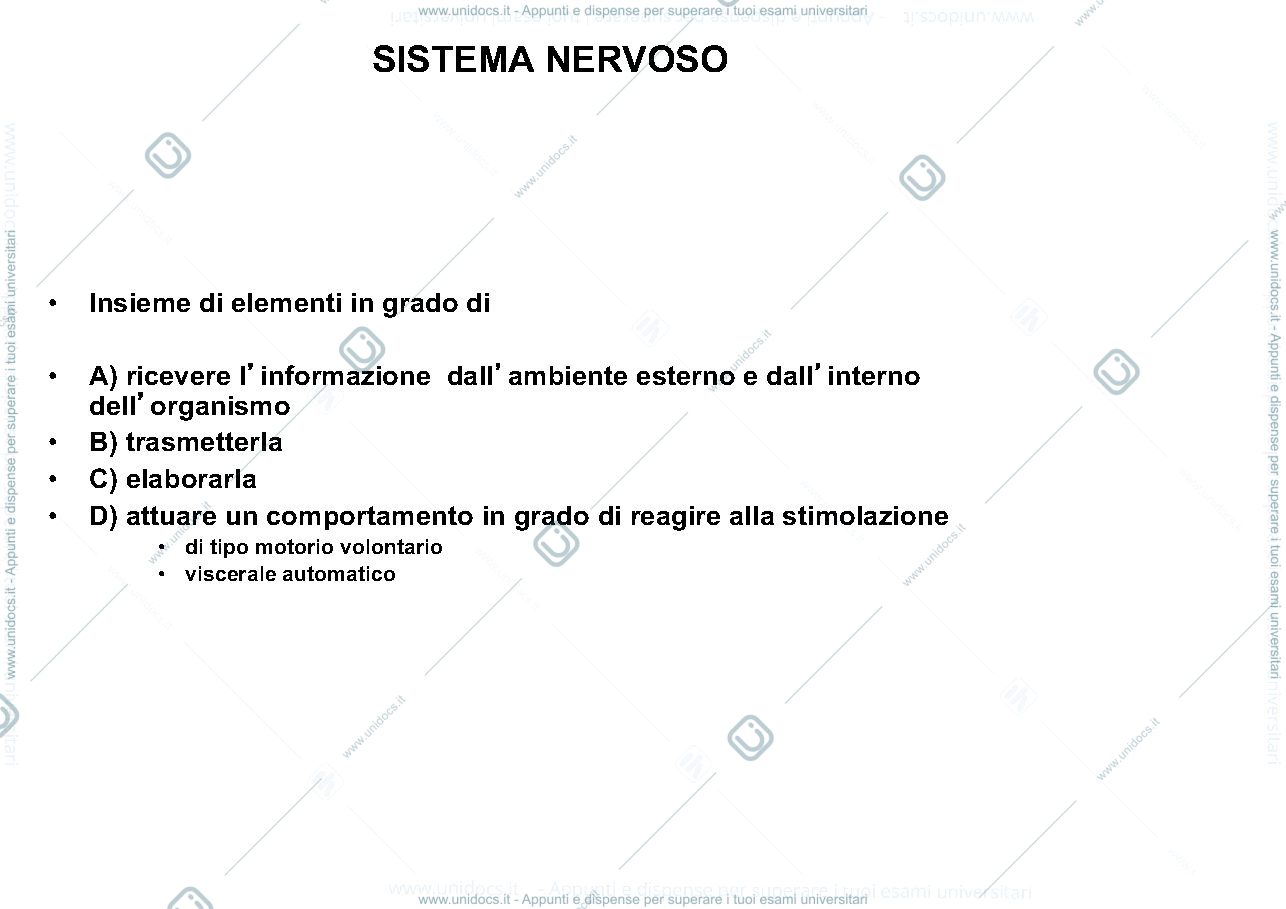 Anteprima pagina 1 — Schemi riassuntivi anatomia