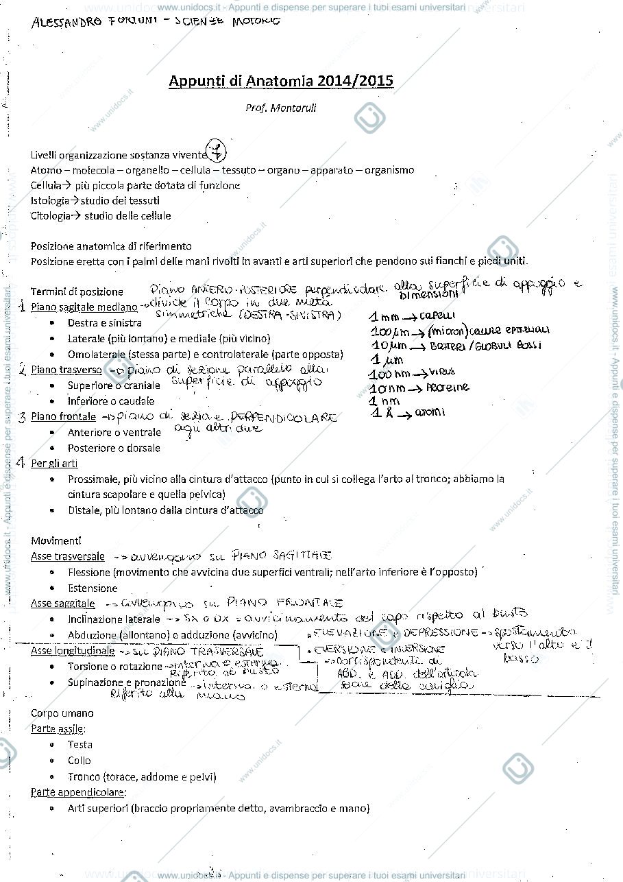 Anteprima pagina 1 — Riassunto Anatomia