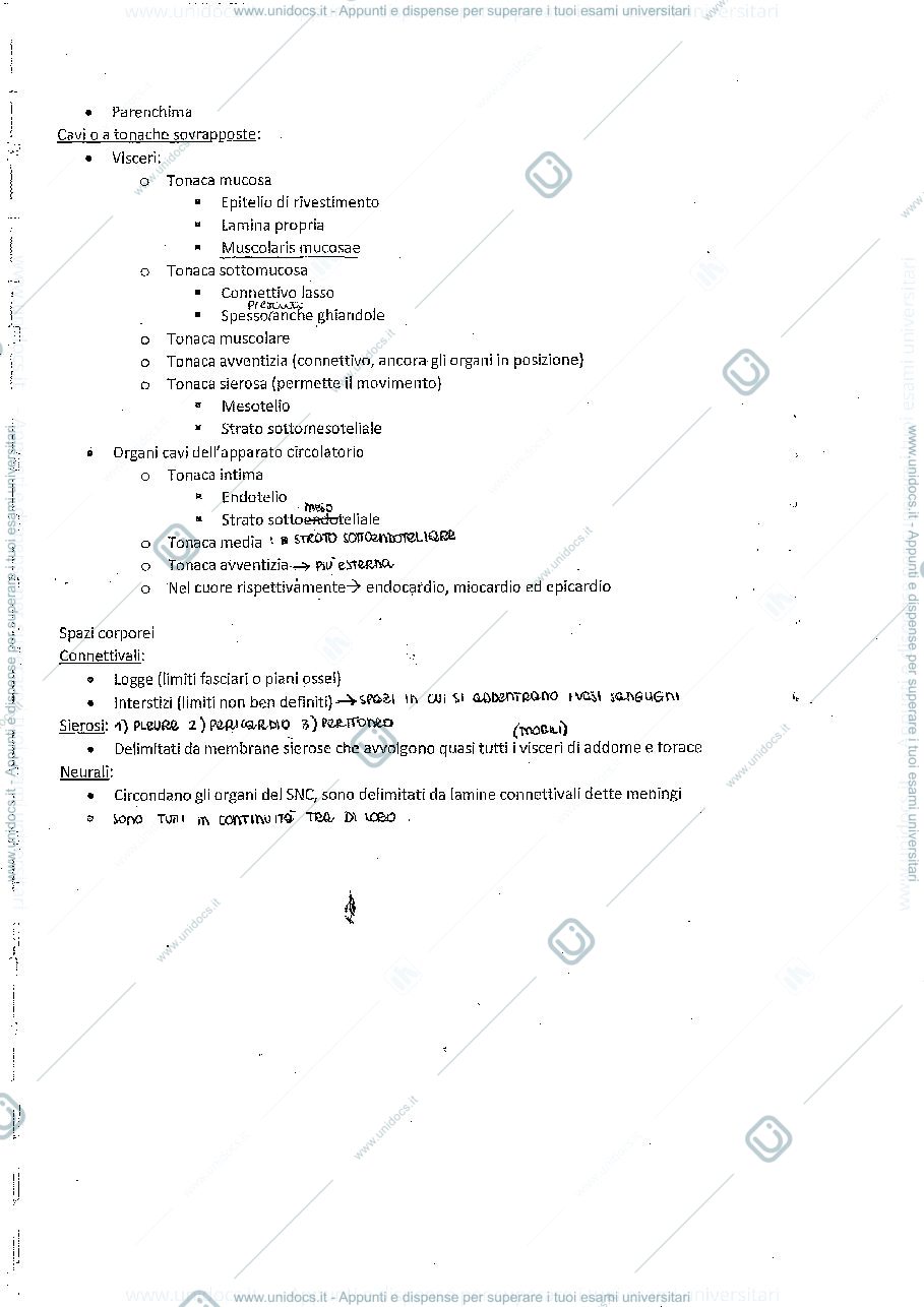 Anteprima pagina 3 — Riassunto Anatomia