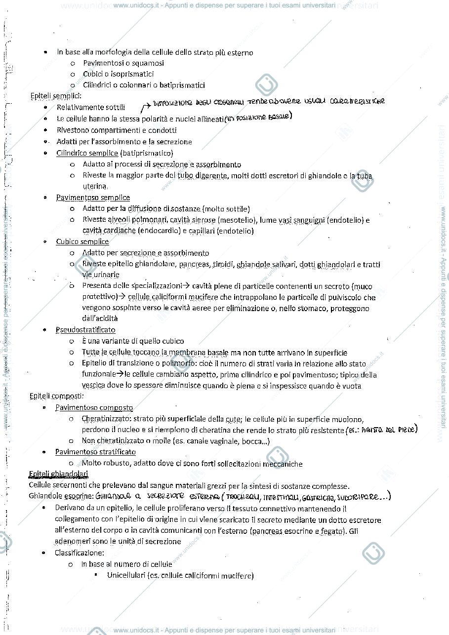 Anteprima pagina 5 — Riassunto Anatomia
