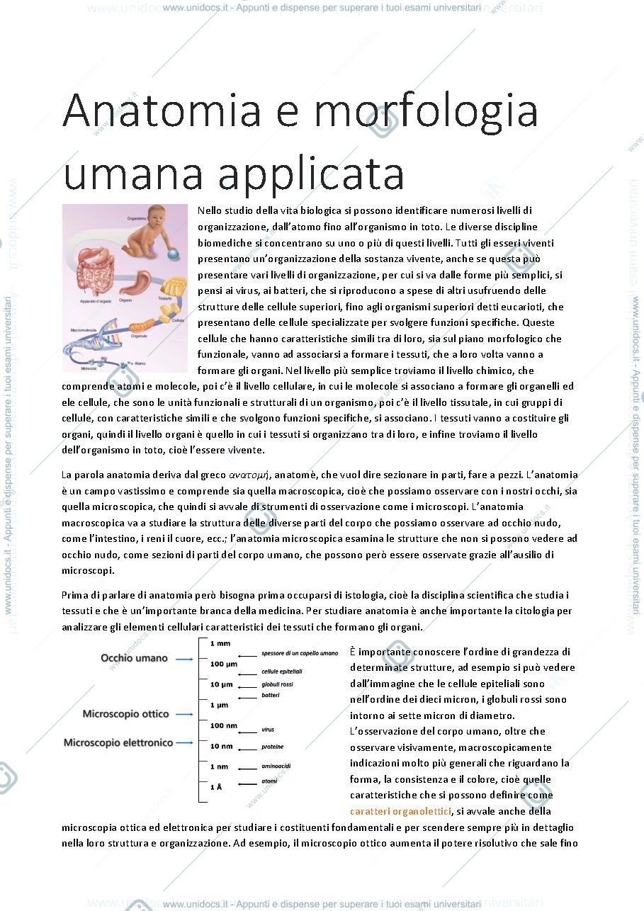 Anteprima pagina 1 — APPUNTI ANATOMIA E MORFOLOGIA UMANA APPLICATA
