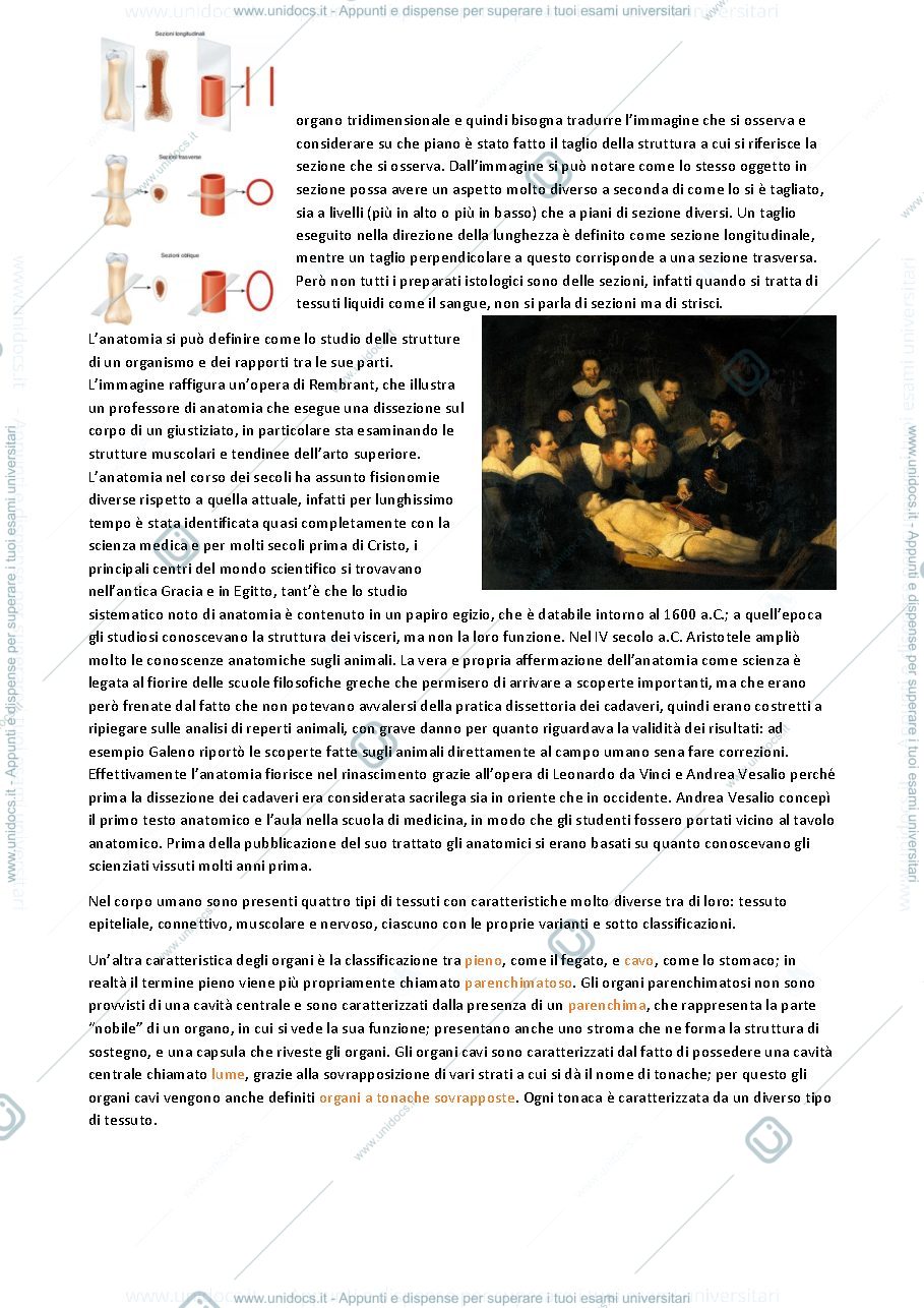 Anteprima pagina 3 — APPUNTI ANATOMIA E MORFOLOGIA UMANA APPLICATA