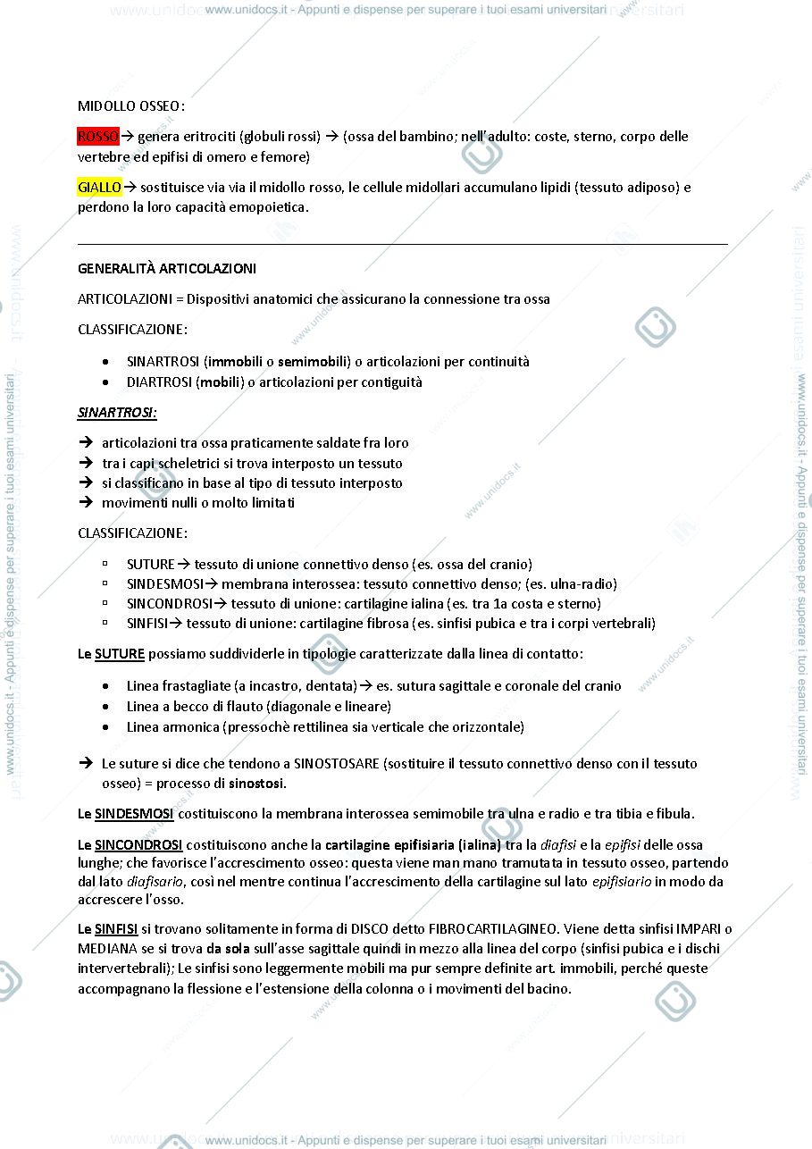 Anteprima pagina 2 — apparato locomotore
