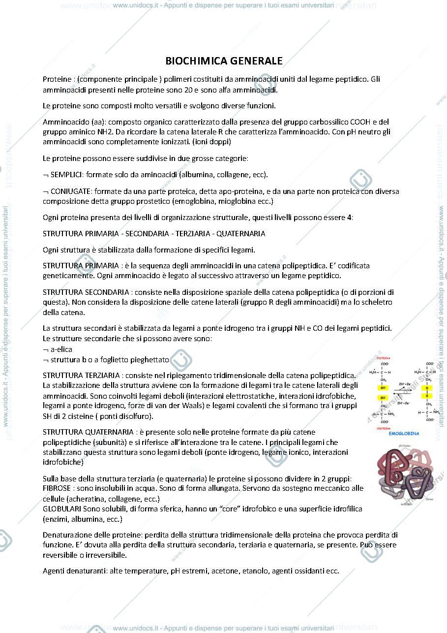 Anteprima pagina 1 — Biochimica