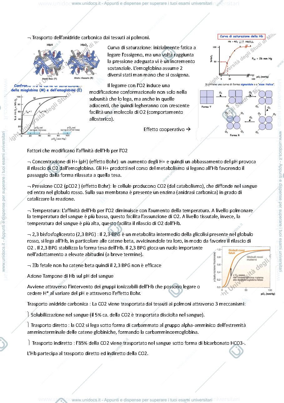 Anteprima pagina 3 — Biochimica