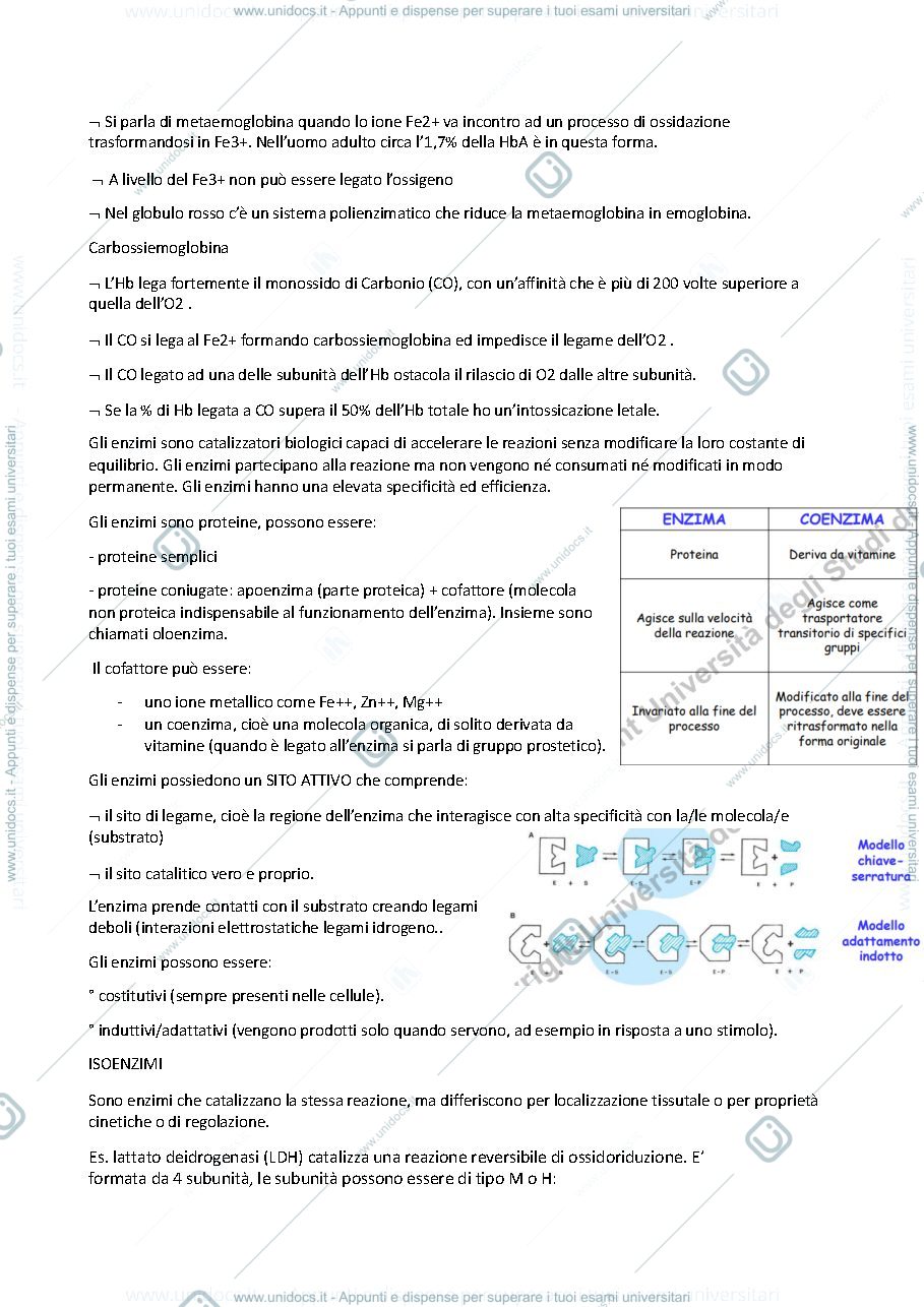 Anteprima pagina 4 — Biochimica
