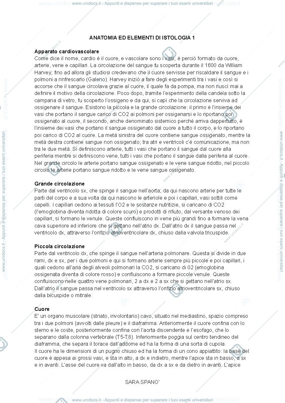 Anteprima pagina 1 — ANATOMIA 1