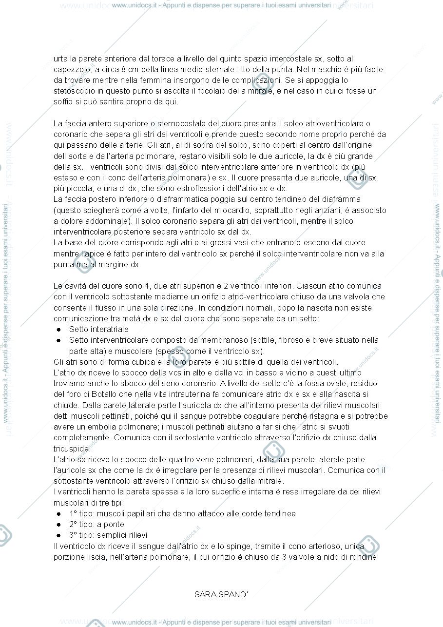 Anteprima pagina 2 — ANATOMIA 1
