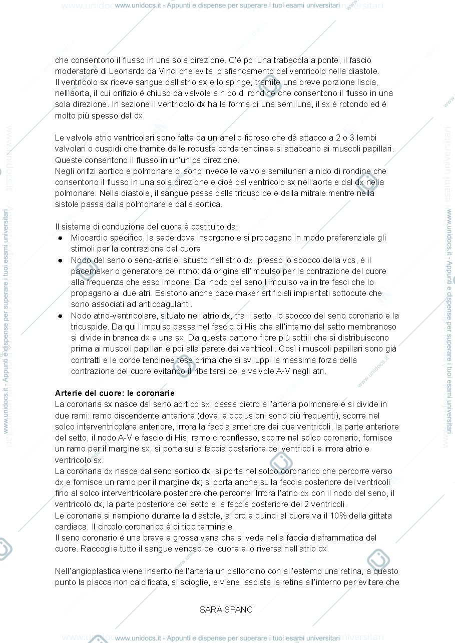 Anteprima pagina 3 — ANATOMIA 1