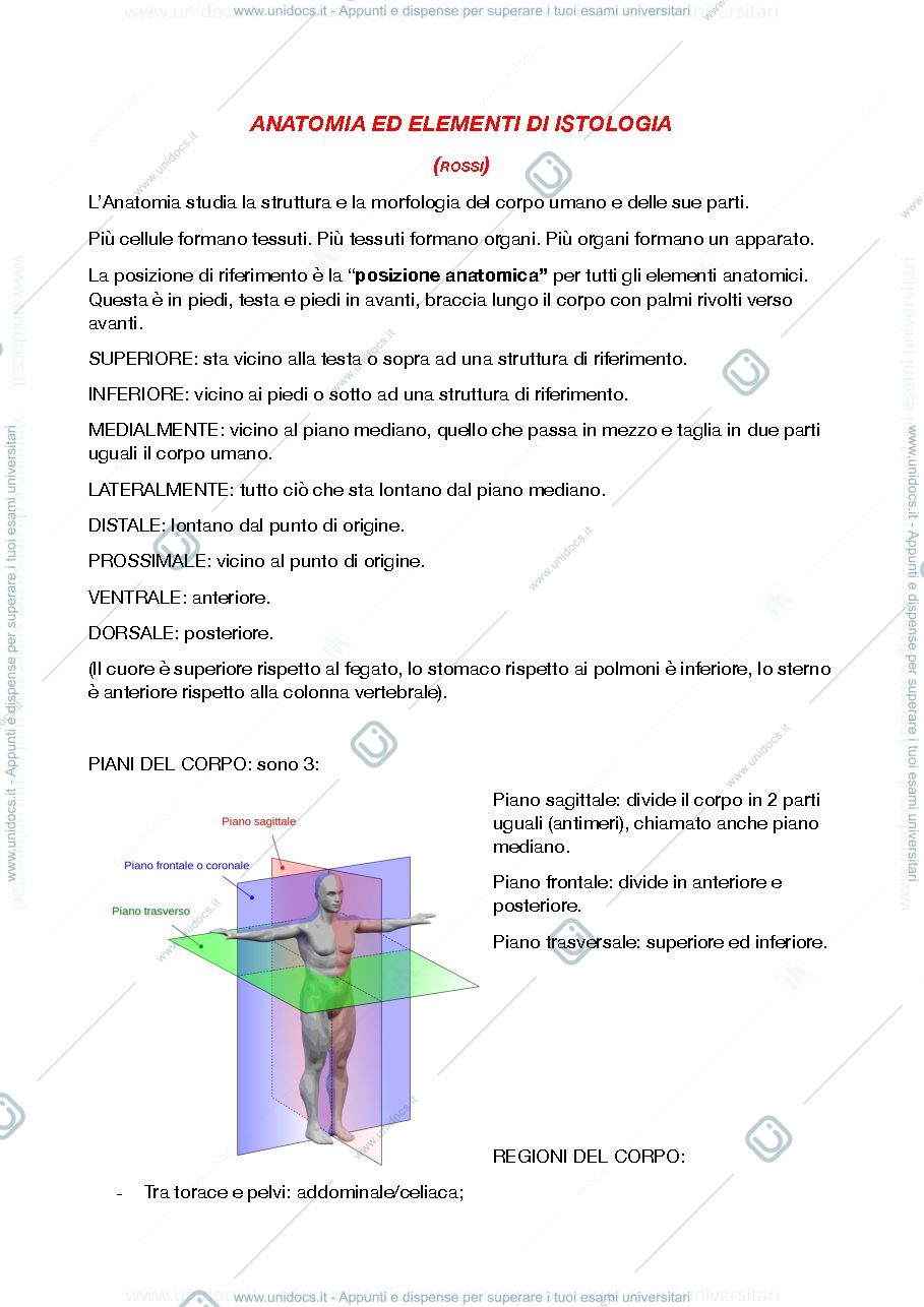 Anteprima pagina 1 — ANATOMIA 1 DANIELA ROSSI