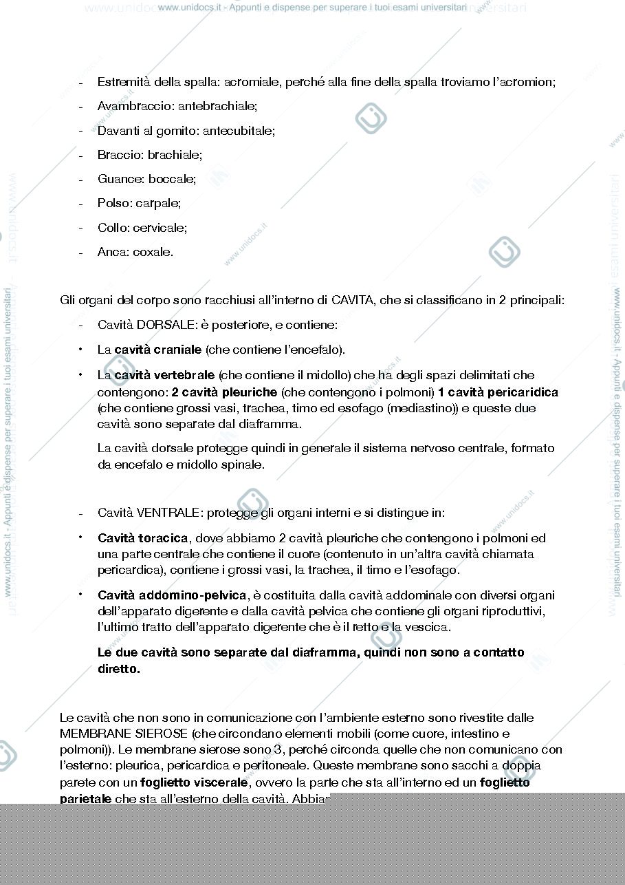 Anteprima pagina 2 — ANATOMIA 1 DANIELA ROSSI