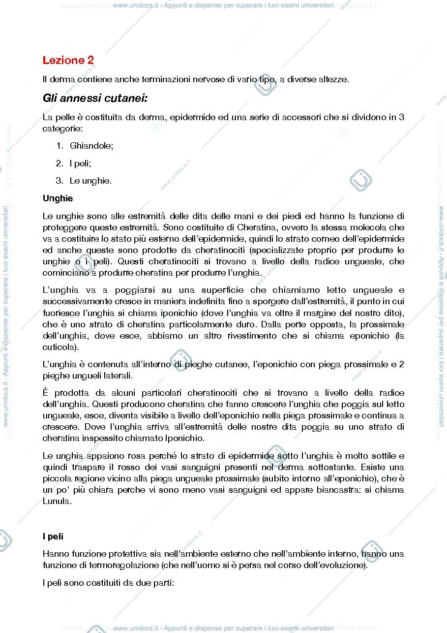 Anteprima pagina 1 — ANATOMIA 1 PROF.SSA ROSSI