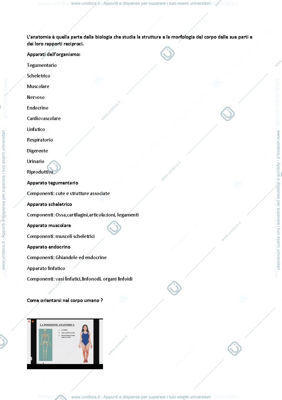 Anteprima pagina 1 — anatomia 2